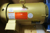 Goulds 02SH10B05T4F2 e-SH End Suction Pump 9-1/2" Imp Dia 5HP ESHC 2X2 1/2X10-4P