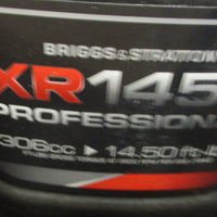 Briggs & Stratton XR1450 Horizontal Small Engine 19N1370052F1 305cc