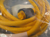 TURCK RK40 / 4M MINIFAST CORDSET SINGLE END U2044