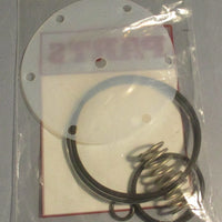 Williams Milton Roy RKLD201-316-TFE Partial Pump Repair Kit for LD200-316