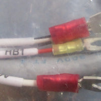 Intercon Inc. 44C741873003R02 Cable Assembly Approx. 31/2' Long