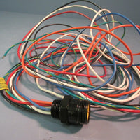 Woodhead/Brad Harrison Single-End Receptacle Cordset 2R7006A20F060