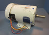 Baldor Super-E 3 HP 3 Phase AC Washdown Duty Motor EWDM3611T 1760 RPM