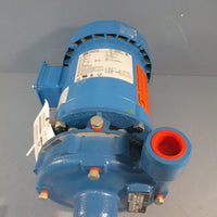 Goulds 1BF20734 Centrifugal Pump Series 3642,3/4 HP,208-230/460 V,3 Phase,1" NPT