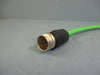 Siemens Connection Cable Assembly TDY 36/14 .13018.0 NEW