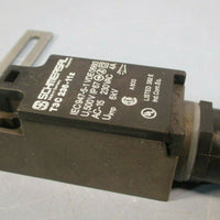SCHMERSAL Hinged Limit Switch T3C23611z