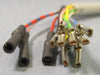 ESCHA 8028900/53210 Female Cable Assy. 12 Pin WAKS12-5/S366/S2684 5M Long