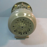 Qin Wei Asynchronous 220 / 380 V Motor PD0823009 w/ Wan Sin Worm Reducer NMRW050