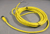 Allen Bradley 889D-F4AC-5 QD Cordset 4 Pin DC Micro Straight 5m Long (Lot of 3)