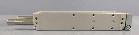 Festo DFM20125BPPVAGF Linear Guide Cylinder 532316 20mm Bore 125mm Stroke