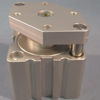 BOSCH 0822010861 Pmax 10 BAR Pneumatic Cylinder DBL Acting 50mm Bore 10mm Stroke
