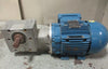 WEG 00118XT3E143TC 1 HP Motor 1765 RPM 208-230/460 V Cone Drive 5:1 Gearbox