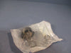 Total Source CR79019 Potentiometer 79019
