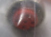 Beckhoff ZK 4000-6200-2030 3m Data Cable M12 4POS Female Straight
