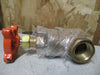 STOCKHAM GLOBE VALVE 1/2" BRONZE CLASS 125, 125SWP, 200CWP, FIG B-13T