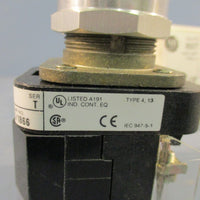 Allen Bradley 800T-PT16 Pushbutton Switch Series T, Illuminated Button, 120VAC