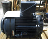 Marathon Electric FVE 365TTFS17218AN Electric Motor 50HP 365TCV 2-3/8" Shaft Dia