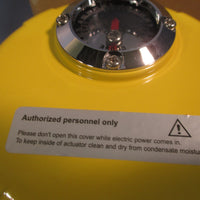 Radius LLC EW Series Electric Actuator 110V, 0.27 amps REW35012110
