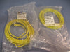 LOT OF (2) BALLUFF CABLE C21AE300VY150F 250V 4A