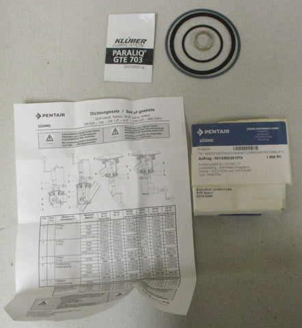 Pentair Sudmo 2143630 Seal Kit 3" S270S288 and S370S386 FKMFDA