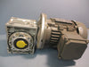 Qin Wei 220/380 V Motor PD0823009 w/ Wan Sin Worm Reducer NMRW050 S/N 1202-2581