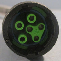 Murr Elektronik 7000P8141P010200 Power Connecting Cable 8B0B5 Approx 6' L