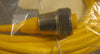 Turck RKM40-6M Single Ended Cordset 4 pin Manifast Straight 6m Long