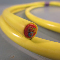 Lapp Kabel 3 G 1,5 OLFLEX Cable 3G1,5 4' Long Approx W/ 6-Pin Connector
