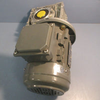 Qin Wei 220/380 V Motor PD0823009 w/ Wan Sin Worm Reducer NMRW050 S/N 12022581