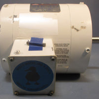 Leeson 113649.00 Washguard Motor C6T17VC5H 1/4 HP 3 Ph 1725 RPM 208/230/460 V