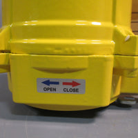 Radius LLC EW Series Electric Actuator 110V, 0.27 amps REW35012110