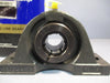 SEALMASTER GOLD-LINE STANDARD MP-16TC PILLOW BLOCK BALL BEARING 1" SINGLE ROW