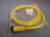 Brad Connectivity 6P Female Straight 6' 16/6 AWG PVC Cord 1300070024