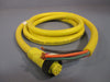 Daniel Woodhead/Brad Harrison Electrical Cable W80650