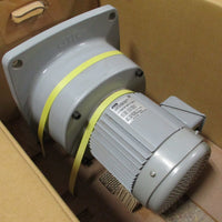 GTR G3FM-40-200-075 Induction Gear Motor 4P, 0.75 kW, 200:1 Ratio, 1430-1730 RPM