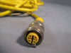 Lot of (2) TURCK EUROFAST CORDSET U2170-6 RK4.2T-5/S748 U2170-6