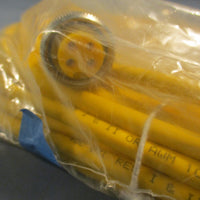 TURCK RSM RKM 4010M/S1587 Sunlight Resistant 600v A/B Type 4 Feet Long