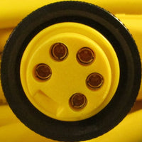 Lumberg Automation RKW 50-794/50F Single Ended Cordset 5-Pin Female 50ft Long