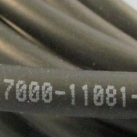 Murr Elektronik 7000-11081-6161000 Cordset Female Right Angle 24V AC/DC 10m Long