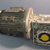 Qin Wei 220/380 V Motor PD0823009 w/ Wan Sin Worm Reducer NMRW050 S/N 12022581