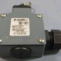 Pizzato FL 576K125 Limit Switch, Position Switch 400V, 3A IP67
