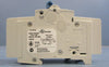 Allen Bradley 1489-M2C010 Ser. D Circuit Breaker 2 Pole 1A 480/277VAC D165276