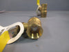 Lot of (2) Watts 1/2" Brass Ball Valve FBV-3C Sku# 0547102