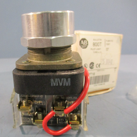 Allen Bradley 800T-PT16 Pushbutton Switch Series T, Illuminated Button, 120VAC