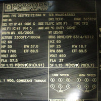Marathon Electric FVE 365TTFS17218AN Electric Motor 50HP 365TCV 23/8" Shaft Dia
