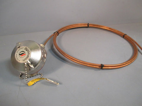 Pyromation RTD Thermometer 2290L42331448HN91