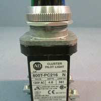 ALLEN BRADLEY Cluster Pilot Light Blue/Green 2 Unit 120V Type 13 800TPC216XBXG