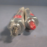 Lot of (2) Bimba Air Cylinder SR042DPW