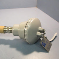 Burns Engineering Sensor, Element, RTD 200A10A2A400