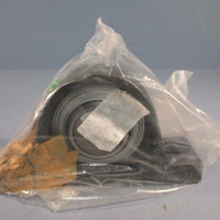 INA GG-ASE08 Two Bolt Pillow Block Housing, Ball Bearing 40mm Bore, Cast Iron
